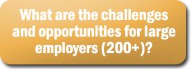 What are the challenges and opportunities for large employers