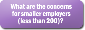 What are the concerns for smaller employers